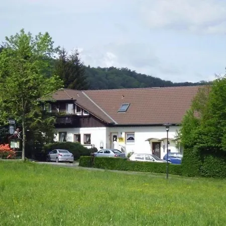 Appartement Gemuetliche In Altenbrak Inkl Terrasse