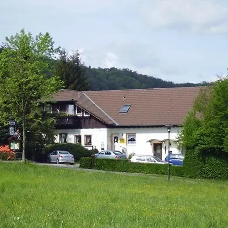 Gemuetliche In Altenbrak Inkl Terrasse Apartment